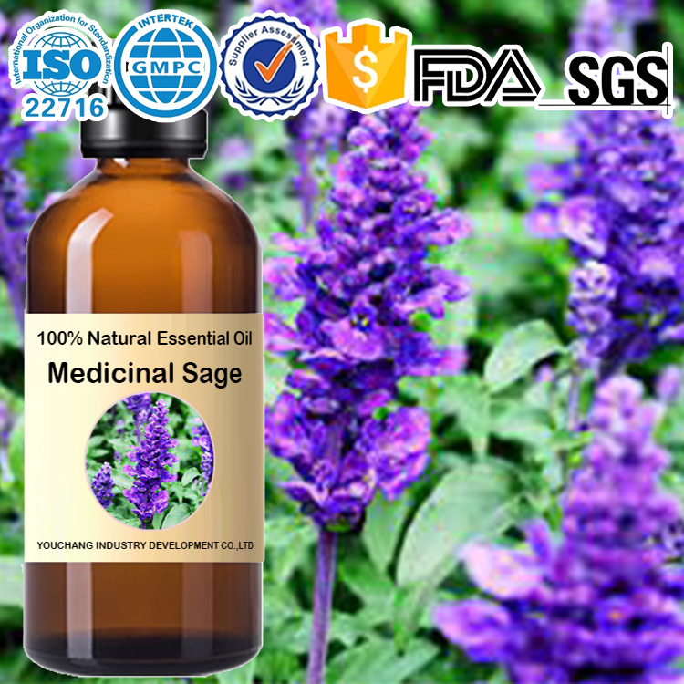 Factory wholesale 薬用サルビア（セージ）天然100% エッセンシャルオイル Medicinal Sage Essential Oil-Salvia officinalis 100%Natural) OEM