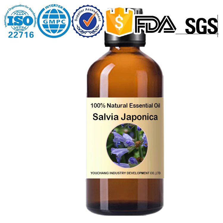 Factory wholesale セージ/ムラサキセージ(アメジストセージ)天然100%エッセンシャルオイル Salvia japonica Essential Oil-Salvia japonica (100%Natural) OEM