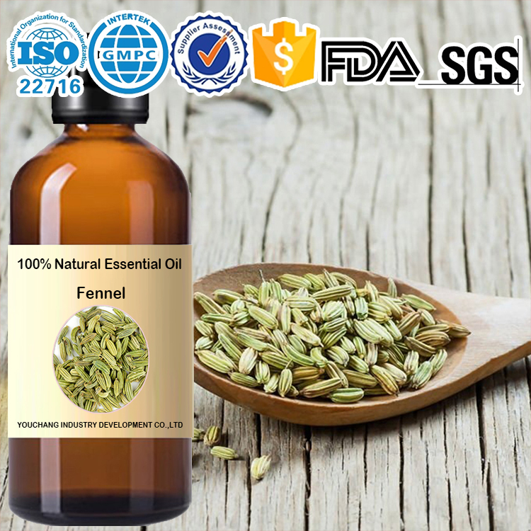 Factory wholesale ウイキョウ エッセンシャルオイル Fennel Essential Oil-Foeniculum vulgare 100%Natural OEM Aromatherapy Skincare Digestive Aid Women's Health Home Care