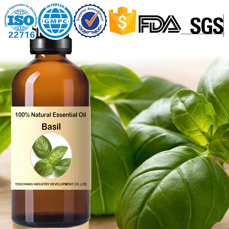 Factory wholesale バジル エッセンシャルオイル Basil Essential Oil-Ocimum basilicum 100%Natural OEM Aromatherapy Skincare Digestive Health Wellness Personal Care