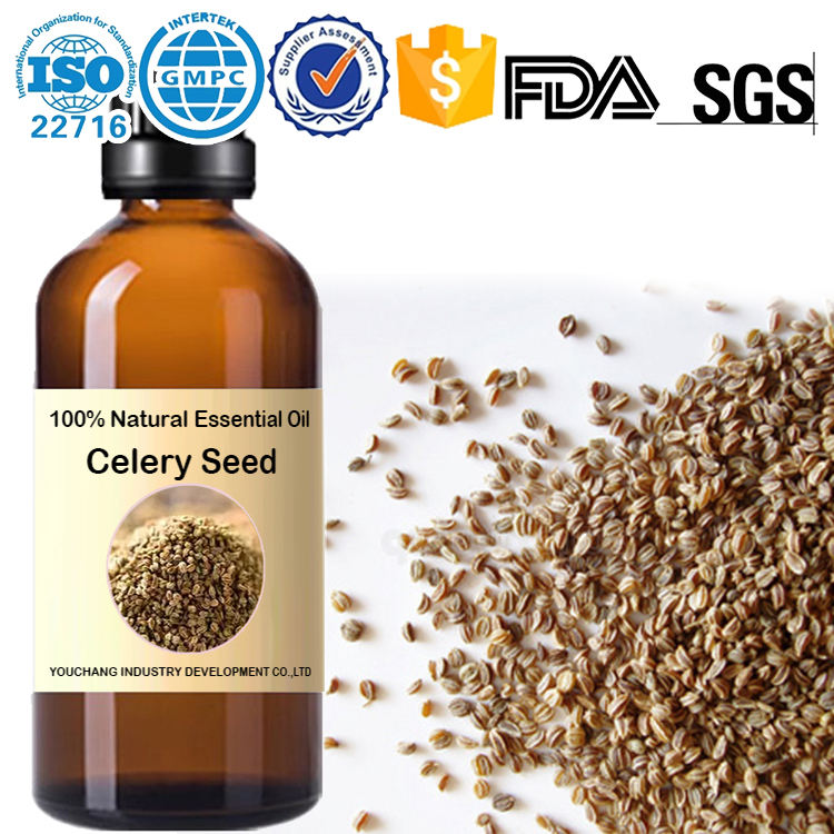 Factory wholesale セロリ 天然精油 Celery Seed Essential Oil-Apium graveolens (100%Natural) OEM Aromatherapy Skincare Massage Therapy Digestive Health Natural Wellness