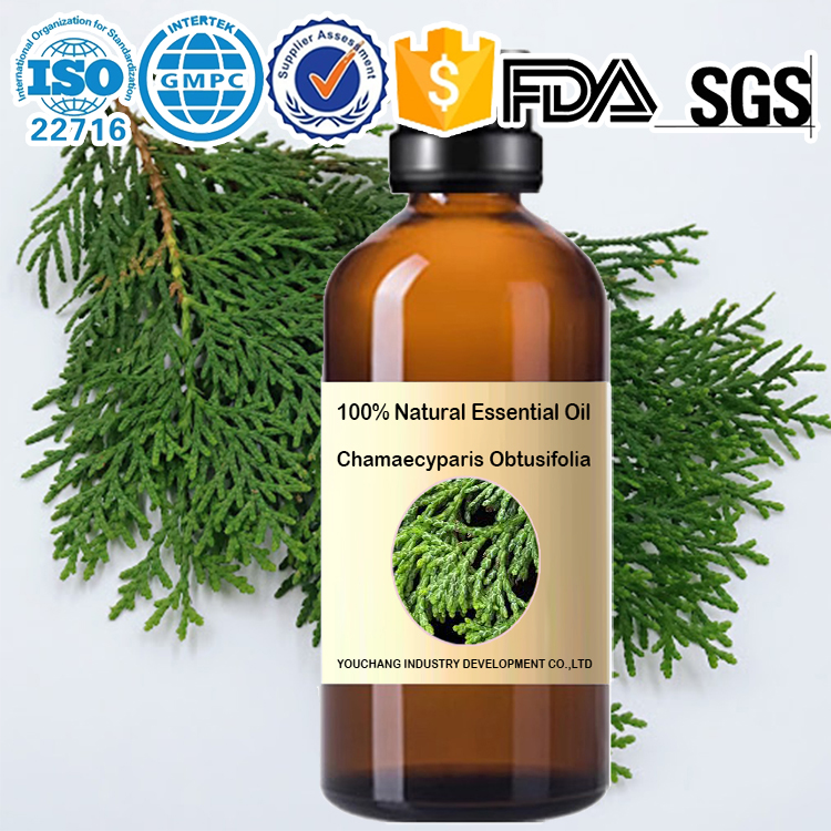 Factory wholesale ヒノキ エッセンシャルオイル Chamaecyparis obtusifolia Essential Oil-Chamaecyparis Spach 100%Natural OEM Aromatherapy Skincare Haircare Home Fragrance Natural Cleaning