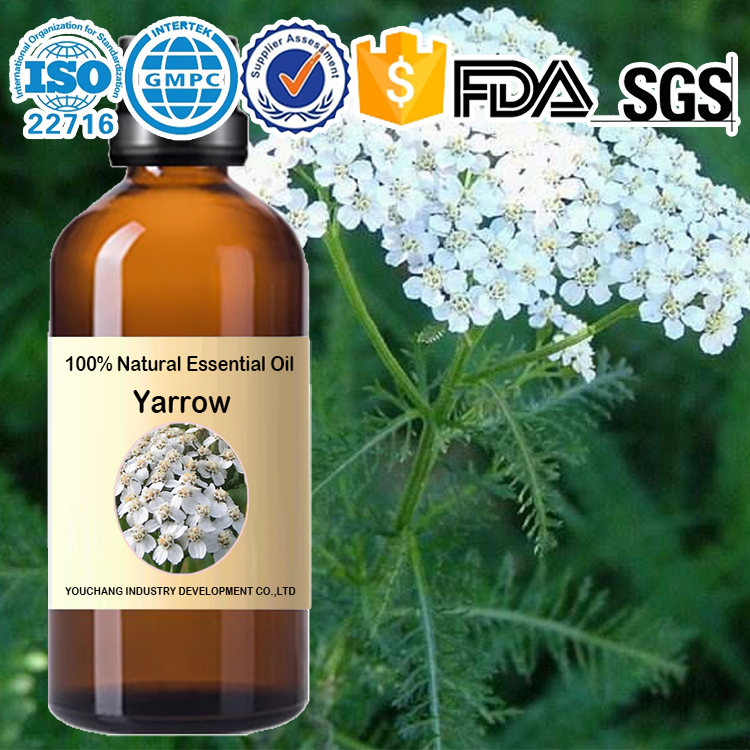 Factory wholesale ヤロー 天然精油 Yarrow Essential Oil-Achillea millefolium (100%Natural) OEM 100% Pure & Natural Soothing Properties Skin Rejuvenation Emotional Support Aromatherapy Skincare Massage