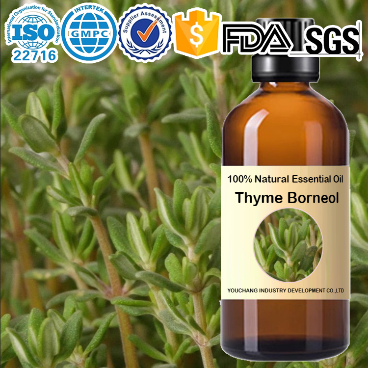 Factory wholesale タイムサツレオイデス 天然精油 Thyme Borneol Essential Oil (Natural) OEM