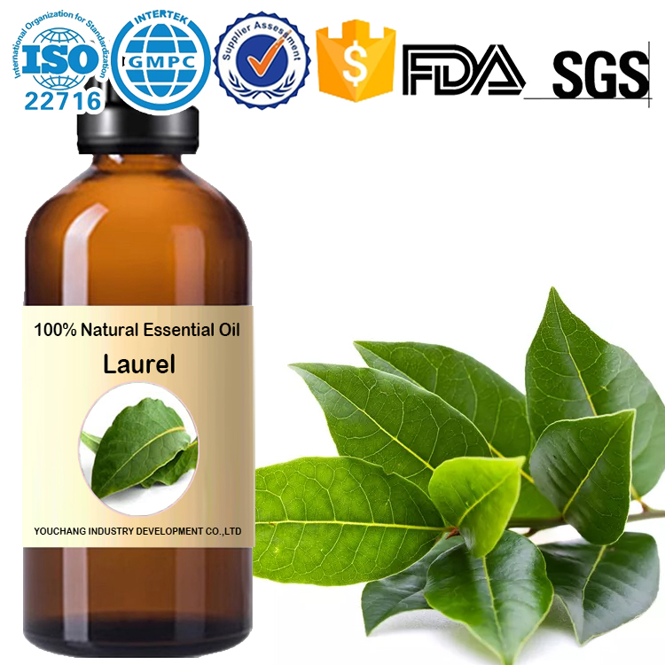 Factory wholesale ゲッケイジュ/ローレル エッセンシャルオイル Laurel Essential Oil-Laurus nobilis 100%Natural OEM Aromatherapy Skincare Massage Therapy ome Care Perfumery