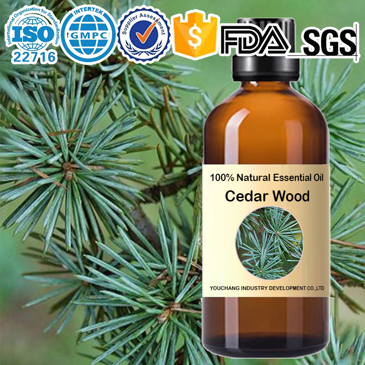 Factory wholesale シダー（アトラス）シダーウッド 天然精油 cedar wood Essential Oil-Cedrus atlantica (100%Natural) OEM Aromatherapy Hair Care Meditation Natural Cleaning